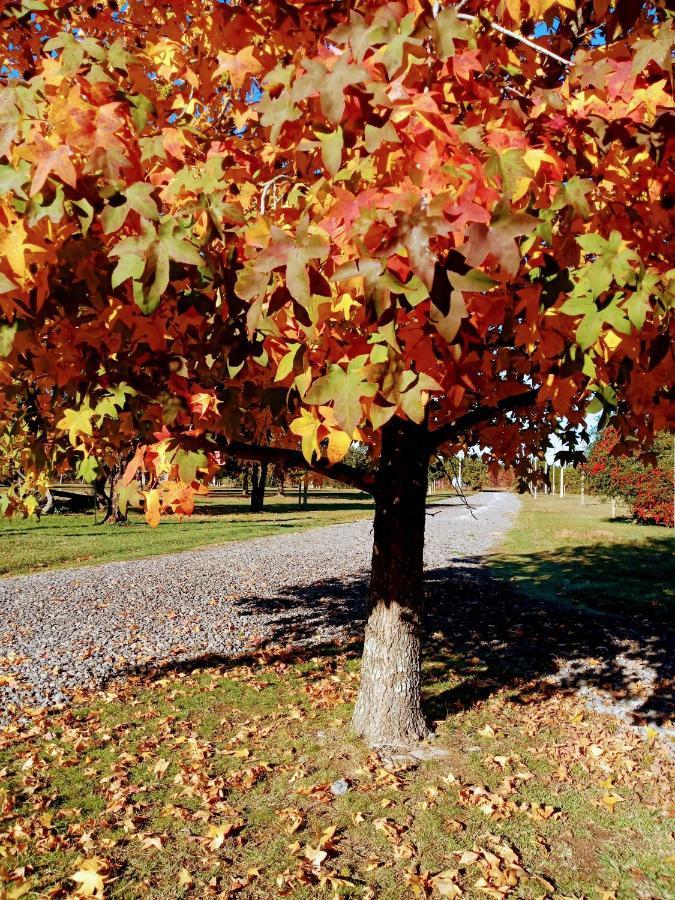 Casa De Campo Liquidambar Сан Педро Екстериор снимка
